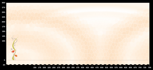V608 Παπαρούνα σε Βιτρώ